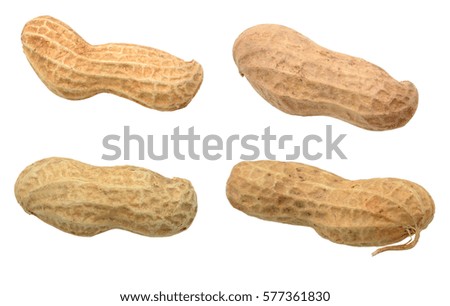 Peanut Isolated on White