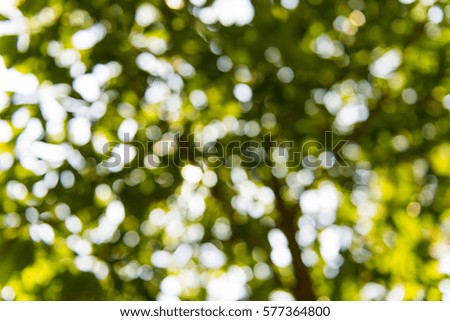 abstract blurred Nature background