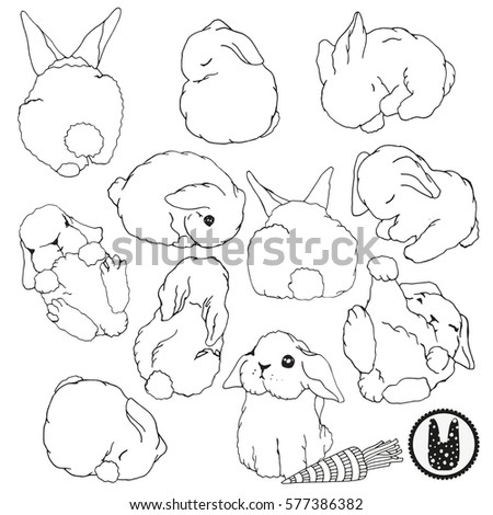Set of cute little fluffy bunnies. Easter rabbits. Black and white. Doodle style clip art.