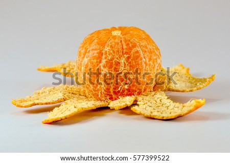 Orange on the white background