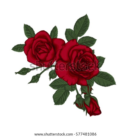 beautiful bouquet with red roses and leaves. Floral arrangement. design greeting card and invitation of the wedding, birthday, Valentine's Day, mother's day and other holiday