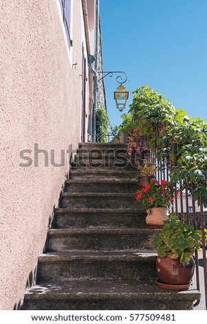 Old staircase in front of the door decorated with plants in flower pots.