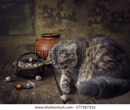 Cat and quail eggs