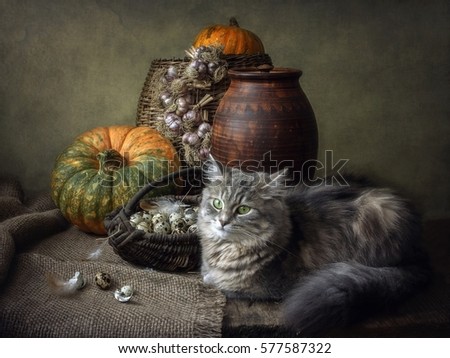 Cat and quail eggs