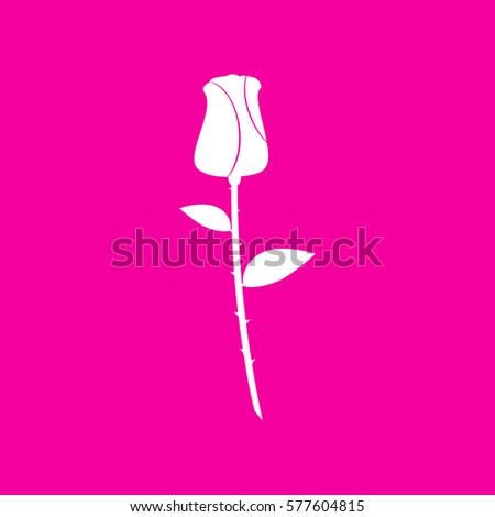 Rose sign illustration. White icon at magenta background.