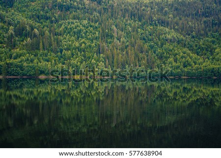 Forest texture. A lot of trees reflecting in water.
Picturesque and interesting landscapes of Norway.
Green pattern. Royalty-Free Stock Photo #577638904