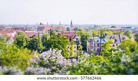 sunny city summer landscape, lots of greenery, beautiful house and trees in the foreground blooming lilacs