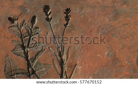 Composition of clay imprints of medicinal herbs and common garden plants - mint (Mentha) and lavender (Levandula) with copy space
