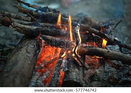 Tourist bonfire in the evening. Burning logs, firewood in the fire camp. Bokeh blurred background