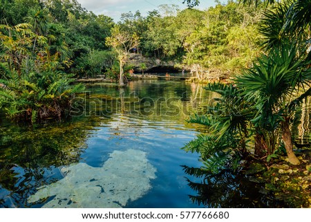 Azul cenote, Akumal, Quintana Roo, Mexico Royalty-Free Stock Photo #577766680