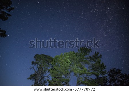 Beautiful starry sky over the forest. Beautiful night landscape.
