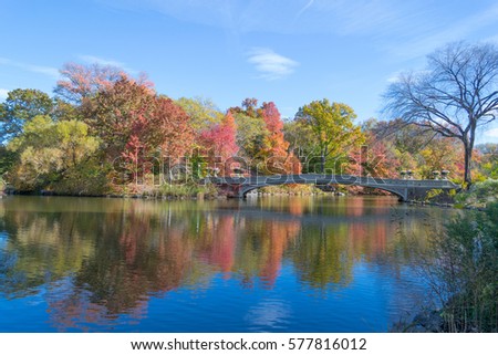 Bow bridge is the longest bridge in Central Park and its appearance with the fall colors is iconic