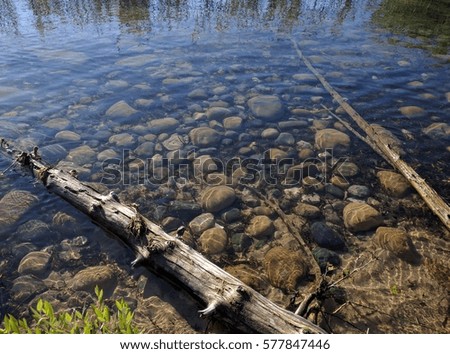 driftwood lake huron shore