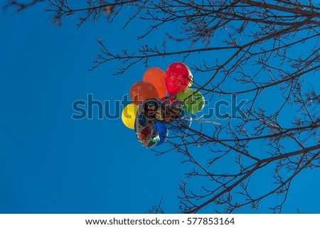 Air baloons on a tree