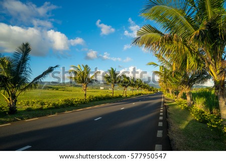Beautiful views of green fields, palm, mountains and valleys on the island of Mauritius, Indian Ocean. The picture was taken at sunset time