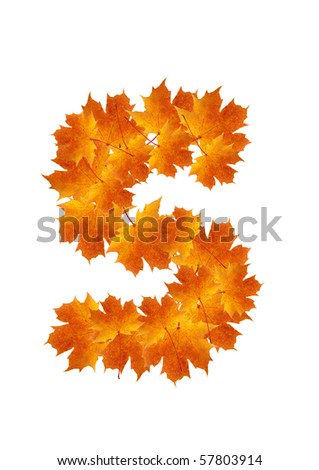 Letter S from orange autumn maple leaves