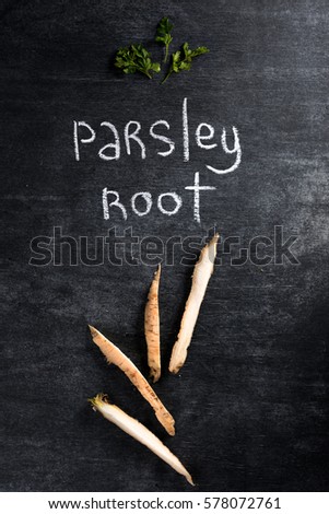 Top view picture of parsley root over dark chalkboard background.
