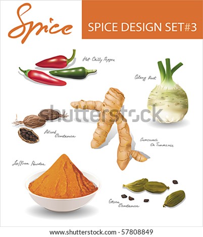 Spice images design set 3. Vector illustration. Royalty-Free Stock Photo #57808849