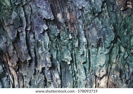 Colored wood bark background
