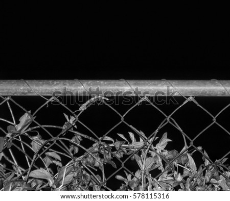 A black and white photograph of part of a metal fence in Brisbane, Australia.