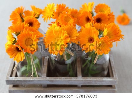 Bouquets of flowers of calendula in glass bottles.