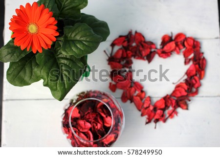Valentine's day (14 February), International Women's Day (8 March), the day the mother and other holiday: bright gerbera (flower) in a pot and dry rose petals in shape of heart