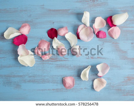 Notice of petals on a blue wooden background. Tender.