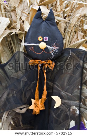 A black cat scarecrow against cornstalks - halloween decoration.