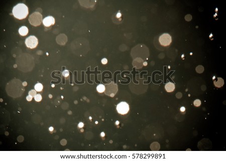 bokeh of water fly and lights on black background
