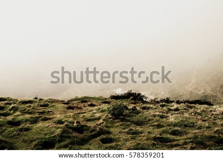 Fog on the hill