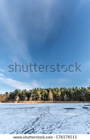 Frozen lake in forest