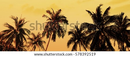 Tropical beach summer background with palm trees silhouette at sunset. Vintage style. Panorama