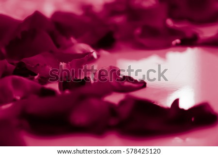 natural light and shadow in vintage style of blur deep pink roses and deep pink rose petals in bath decorated for special period. Romantic set up for Valentine Day,Honeymoon,Wedding Anniversary