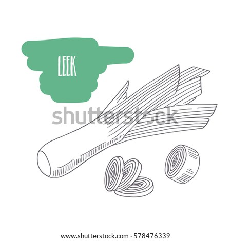 Hand drawn leek isolated on white. Sketch style vegetables with slices for market, kitchen or food package design. Vector illustration