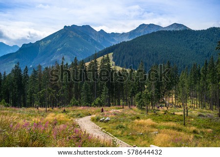 hiking trail in Tatra Mountains Royalty-Free Stock Photo #578644432
