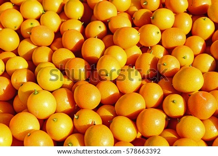 Many fresh oranges 