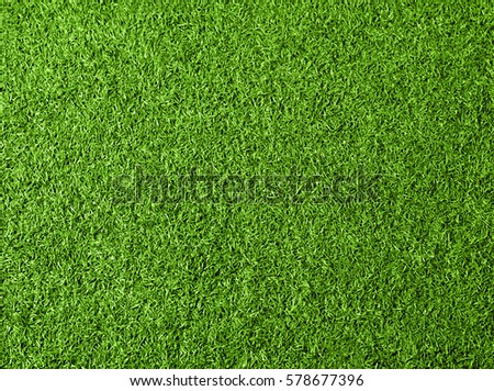 Green grass texture background. Top view photo