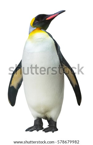 Emperor penguin. isolated on white background Royalty-Free Stock Photo #578679982