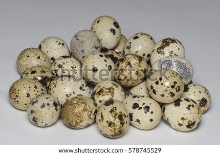Quail eggs with white background.