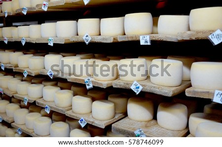 Shelves with cheese. Cheese round color. He lay on wooden shelves. Each shelf is signed. Cheese is made from natural ingredients and milk. It lies in the factory warehouse and ripen