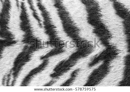 black and white tiger, leopard fur or skin background