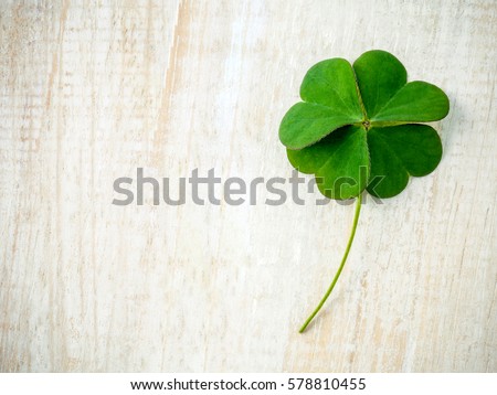 Clovers leaves on shabby wooden background. The symbolic of Four Leaf Clover the first is for faith, the second is for hope, the third is for love, and the fourth is for luck. Royalty-Free Stock Photo #578810455