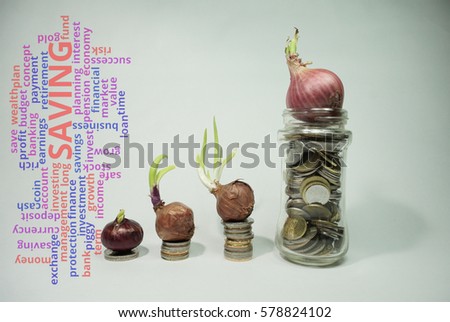 Coins and money with a growing onions for a financial, banking and saving concept. A multi wording and typography concept for finance, banking and saving money.