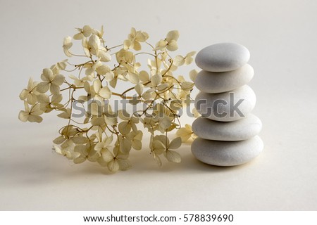 Harmony and balance, cairns, simple poise stones on white background, rock zen sculpture, five white pebbles, single tower, simplicity, dry hydrangea white flowers