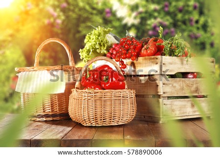 Fruits and vegetables in garden 