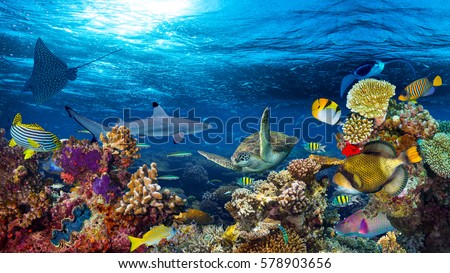 underwater coral reef landscape 16to9 background  in the deep blue ocean with colorful fish and marine life Royalty-Free Stock Photo #578903656