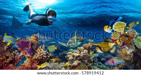 young men snorkeling exploring underwater coral reef landscape background  in the deep blue ocean with colorful fish and marine life Royalty-Free Stock Photo #578919412
