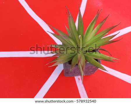 artificial green plant in pot on red background