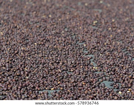 high quality high land raw dark and light brown fresh coffee beans dried with solar energy prepare to roast as picture backdrop or background
