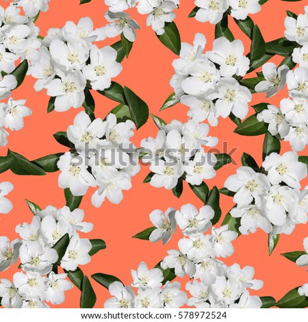 Apple blossom branch of flowers cherry on bright color backdrop. Traditional ornate spring flowers sakura pattern seamless. White flower buds on a tree. Sacura collage artistic illustration. Royalty-Free Stock Photo #578972524